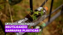 Plantadores Criativos: Reutilizando garrafas plásticas