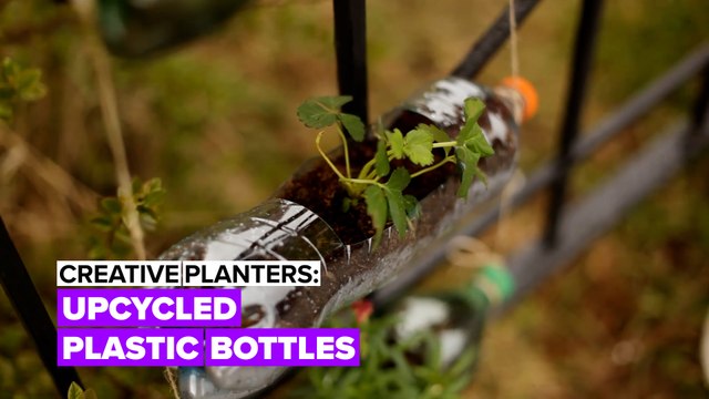 Creative pots: Upcycling plastic bottles
