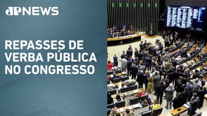 ONG Transparência Brasil afirma que ‘emendas Pix’ violam Constituição