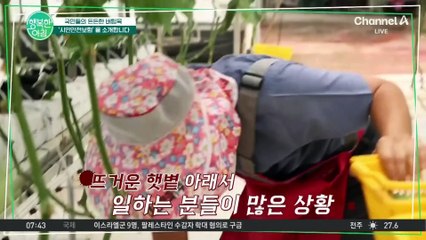 일상의 피해를 보상해 주는 착한 버팀목, 시민안전보험! #시민안전보험