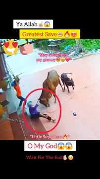 MashAllah ☝ Greatest Save ​[7/30, 6:43 AM] Nouman arshad: TrendingNow#ViralVideo#MustWatch#DailyDose#EpicMoments#BreakingNews#ViralHits#WatchNow#TopVideos#HotTopic [7/30, 6:43 AM] Nouman arshad: PopularNow#VideoOfTheDay#Incredible#AmazingVideos#MustSee