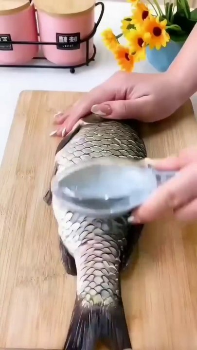 Fish skin scraper