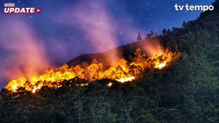 BNPB Peringatkan Potensi Tinggi Kebakaran Hutan dan Lahan hingga Agustus