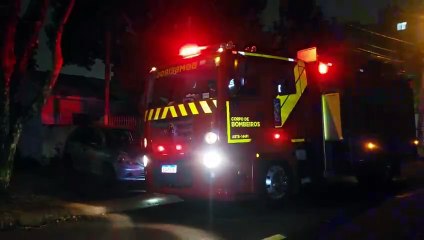 Bombeiros resgatam gambá encontrado em residência no Pacaembu