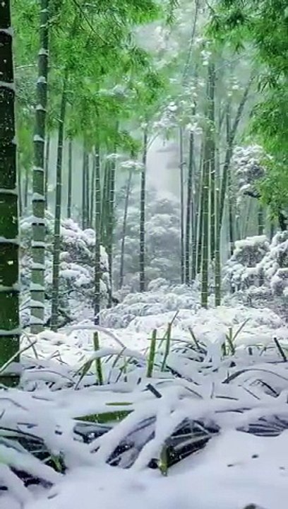 Nature lovers