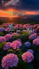 Surah Al-Iftar سورۃ الانفطار Tilawatul_Quran beautiful voice translation Urdu