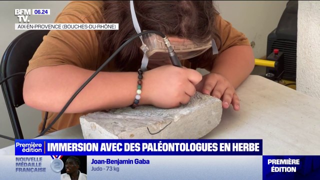 J'aime bien les dinosaures : ces enfants découvrent le métier de paléontologue au Muséum d'histoire naturelle d'Aix-en-Provence