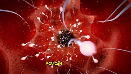 what happens to woman Body when they get their Period