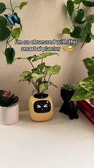 Livy Smart Planter | Your Plant Care Assistant 