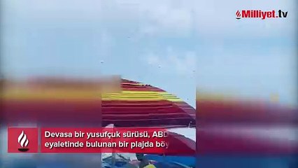 'Kıyamet' gibi! Plajda kabus, istila ettiler
