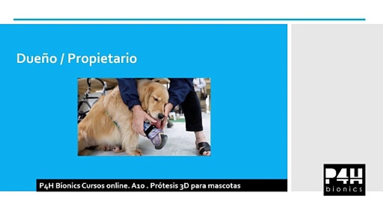 factores a considerar en el uso