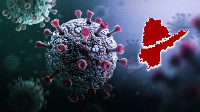 Telangana, Andhra Pradesh కొత్త వైరస్.. అప్రమత్తంగా ఉండాలంటున్నా వైద్యులు | Oneindia Telugu