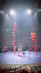 Circus  video