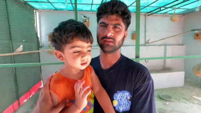 shehar mein dehat ep 16 2024 mini animal zoo Sab Green Parrots Ko Azad Kr Diya