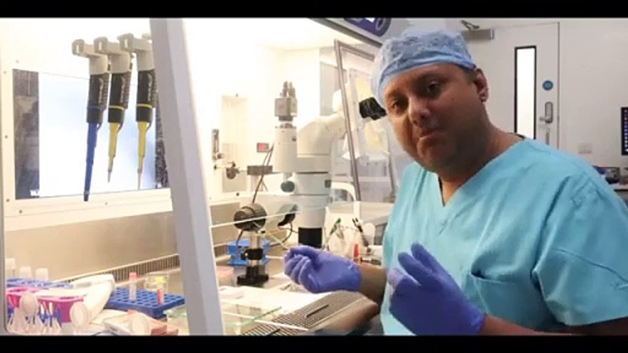 Inside the Lab - Embryo Thawing