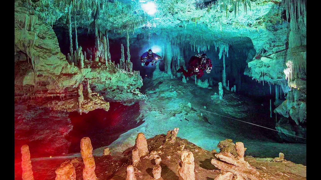 Monk Seal Cave Tragedy