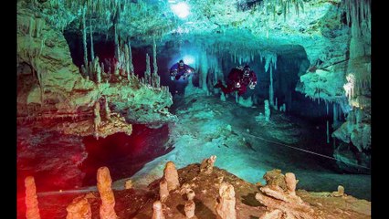 Monk Seal Cave Tragedy
