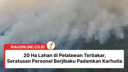 20 Ha Lahan di Pelalawan Terbakar, Seratusan Personel Berjibaku Padamkan Karhutla