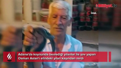 'Yılancı Osman'ı yılan ısırdı: Koynumda bile besliyorum, yılanlarla yatıp kalkıyorum