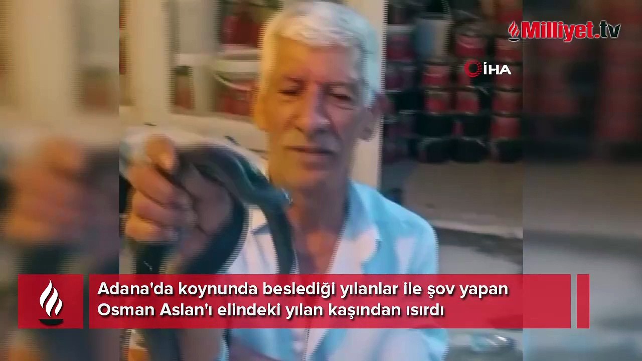 'Yılancı Osman'ı yılan ısırdı: Koynumda bile besliyorum, yılanlarla yatıp kalkıyorum