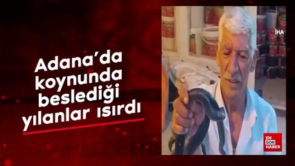 Adana'da koynunda beslediği yılanlar ısırdı