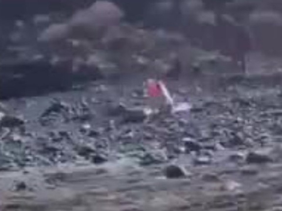 Strandbesucher prügelt mit großem Stock auf Taschendieb ein