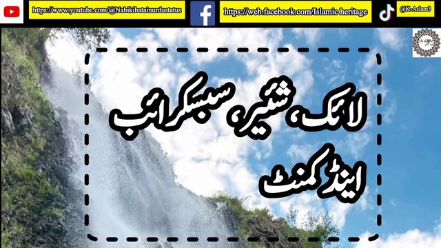 آنحضرت ﷺ نے فرمایا| یہ سچا ہے| مراد پا گیا|islamic video|hadees status|Nabi ki batain urdu status