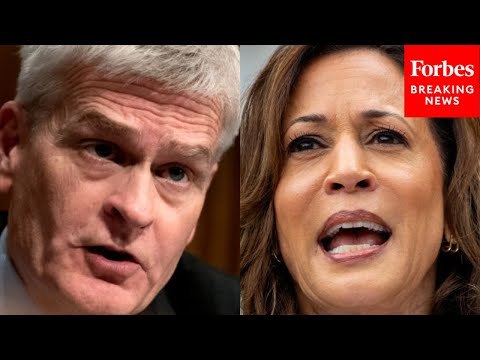 'War On American Energy': Bill Cassidy Tears Into Kamala Harris For Supporting LNG Export Pause