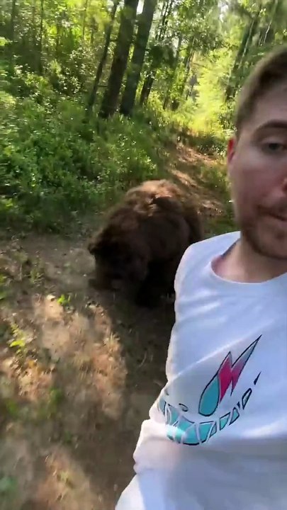 Mr Beast #MrBeast Spot The Fake Animal For   _10_000 HD
