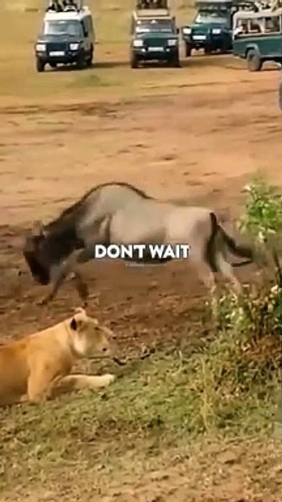 Sigma rule  I WhatsApp status I Motivational quotes #shorts #attitude #sigmarule