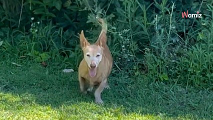 Las redes se deshacen con Eugenia Martínez de Irujo: "Gracias a Dios por gente como tú"