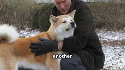 "Heartfelt to Heartbreak" - Meet Hachikō - A Dog's Unlimited Devotion