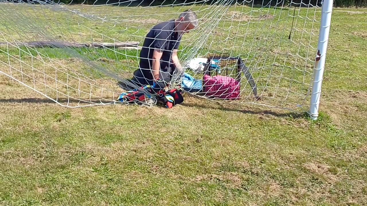 Bexhill & Battle Observer-20-07-24-Rescuers rescue a fox tightly entangled in netting