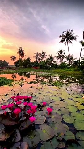Beautiful view | Natural view