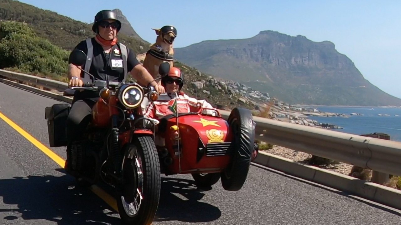 Treffen sie den hund, der motorradtouren übernimmt