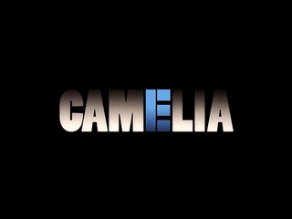 Quatre films noirs américains Bande-annonce VO STFR