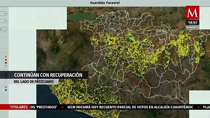 Autoridades de Michoacán continúan con la recuperación del lago de Pátzcuaro