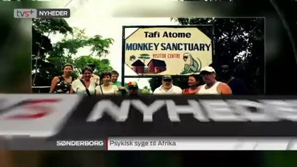 19:30 Udsendelsen - 24 Januar 2015 - Regionalprogram | Sendt på TV SYD & TV2