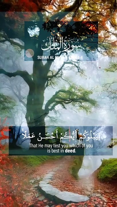 Surah Mulk