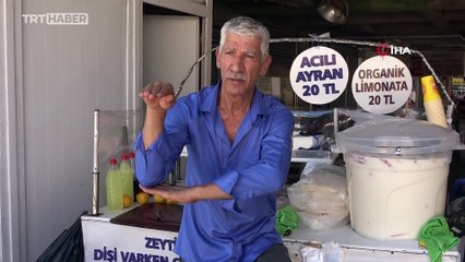 Koynunda beslediği yılan tarafından ısırıldı