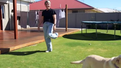 Rex Airlines’ future uncertain in wake of trading halt