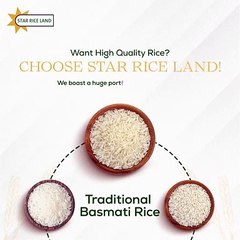 Find Basmati Rice Exporters in India | STAR RICE LAND