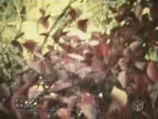 Mana Kana - Naite Waratte