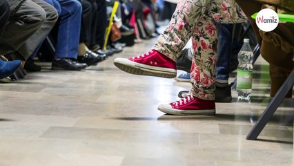Katze stürmt mit Baby in Notaufnahme: Ärzte verstehen und reagieren sofort (Video)