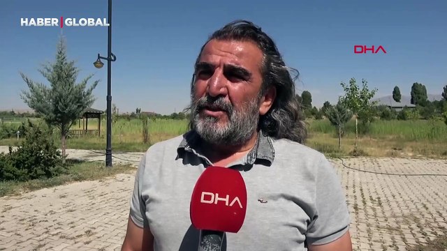 Bahar yağışları Van Gölü'ne yaradı: Martı ve inci kefali ölümlerinde düşüş