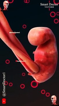 Journey to Life: The Stages of Fetal Development Miracle in the Womb: Understanding Fetal Growth From Conception to Birth: A Guide to Fetal Development Life Begins: Exploring the Phases of Fetal Development The Evolution of Life: Fetal Development We