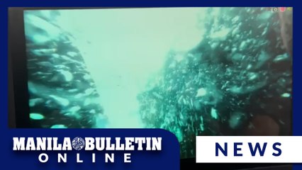 UP MSI conducts water sampling at ground zero of the oil spill off Limay, Bataan