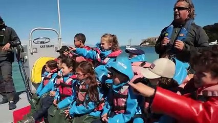 L'été c'est fait pour naviguer ! / Fédération Française de Voile 2024