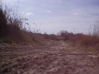 Binbin qui saute en moto P1270229