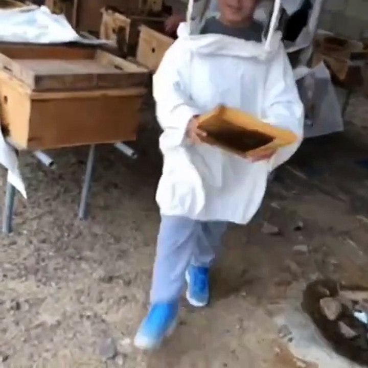 Watch: 18-year-old Emirati with own honey business played with bees in his childhood
